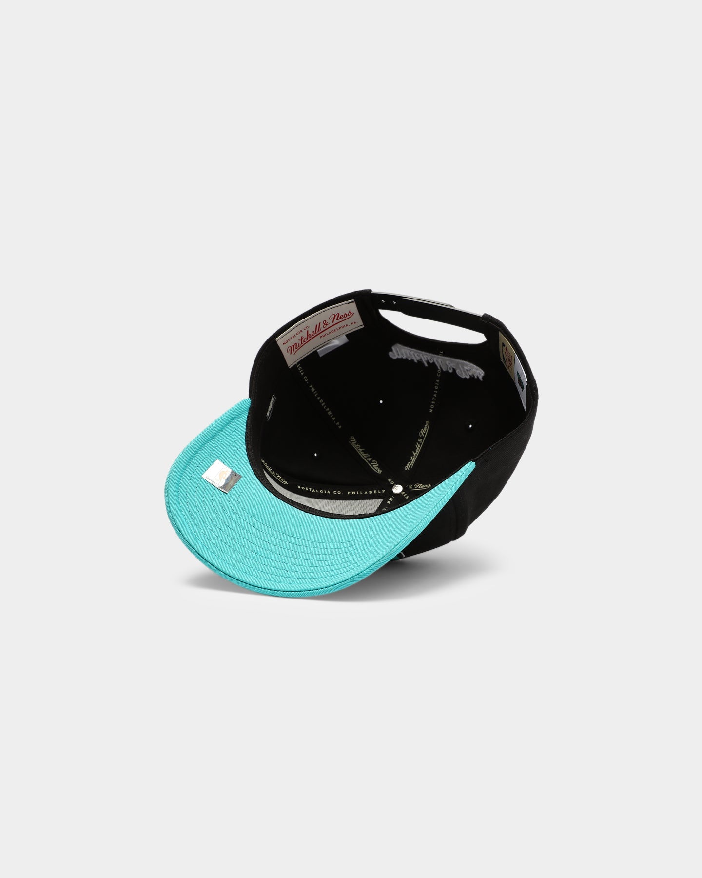 Mitchell & Ness Vancouver Grizzlies Chin It Pro Crown Snapback Black