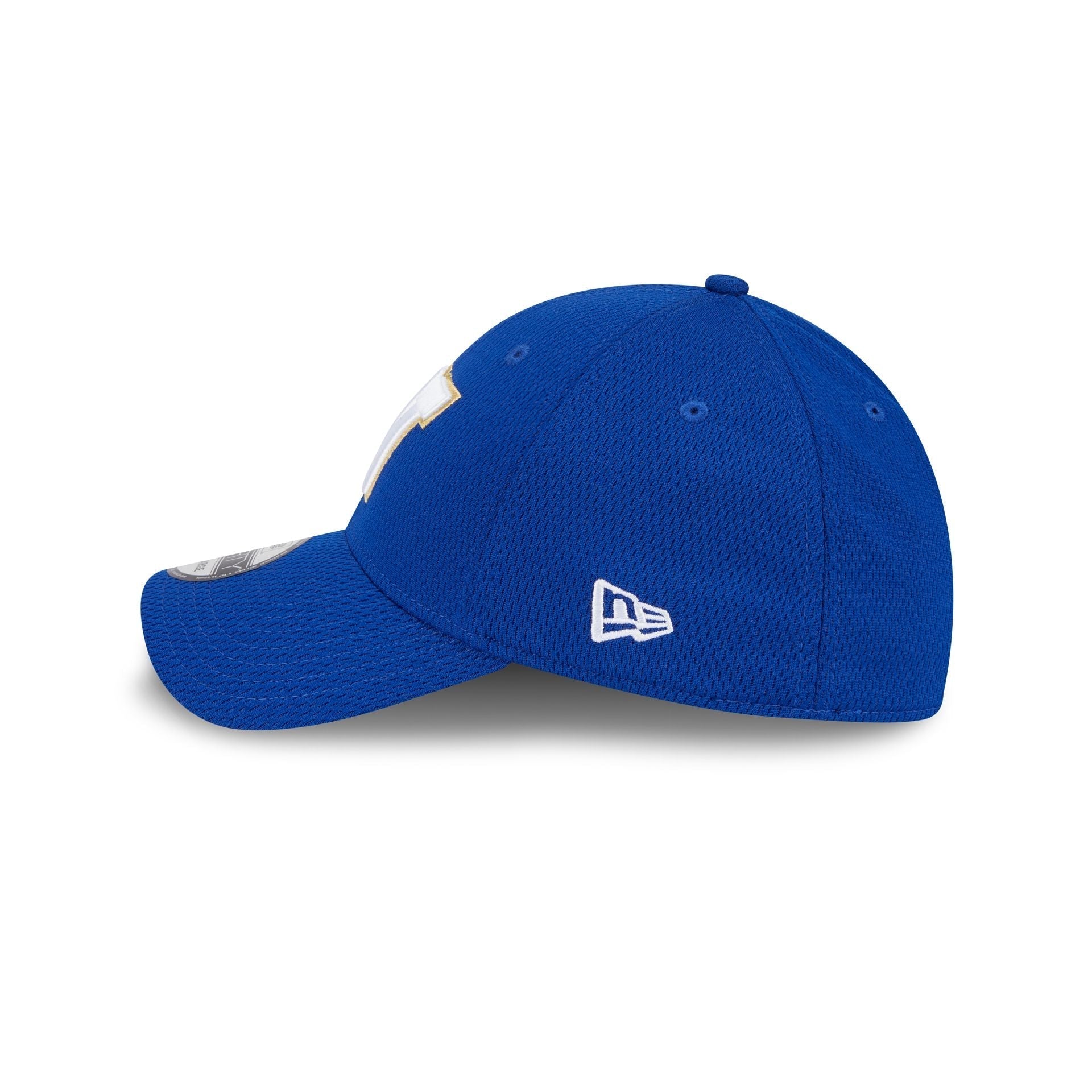 Winnipeg Blue Bombers Rear Wordmark 39THIRTY Stretch Fit Hat